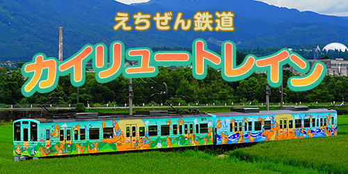 えちぜん鉄道カイリュートレインは毎日運行中！ぜひ福井県に遊びに来てね！