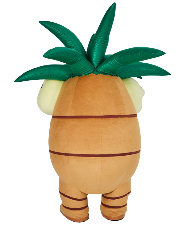 ポケモンローカルacts ポケモンだいすきクラブ